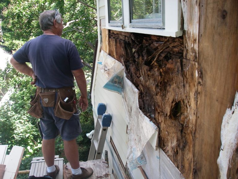 dry rot on siding
