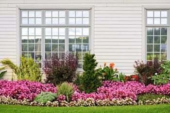 Siding Replacement Lake Oswego