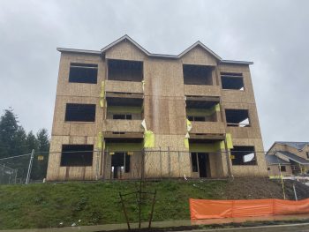 Dry Rot Siding Multi Family Subwall with mold