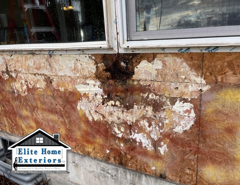 Dry Rot Mold Window Leak