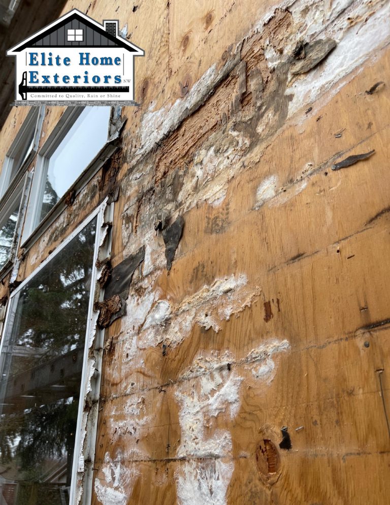 Picture of Dry Rot Behind Engineered Wood Siding Contractor Vancouver Wa