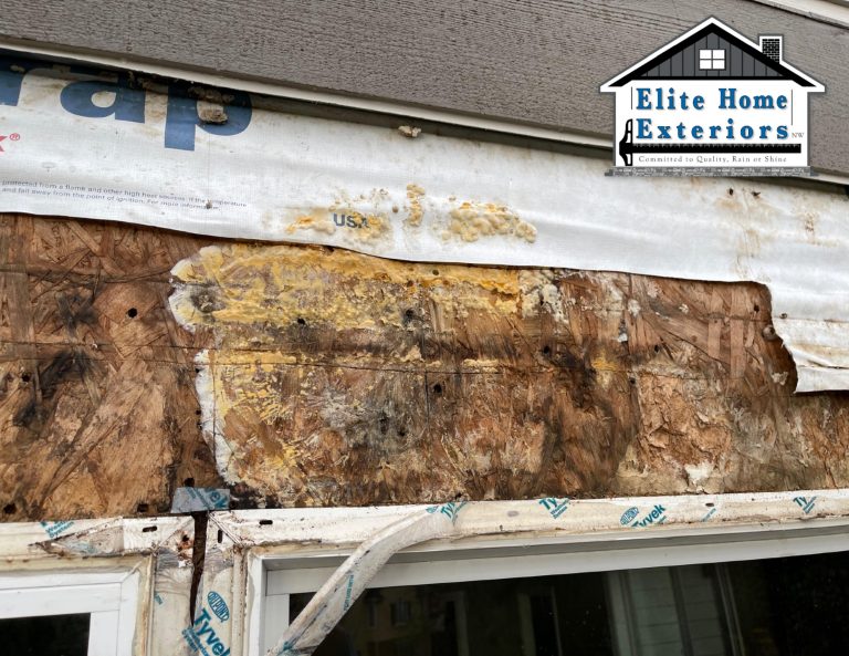 Mold Mildew Rot Behind Siding