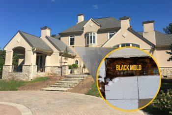 Eifs Stucco Siding Black Mold 1