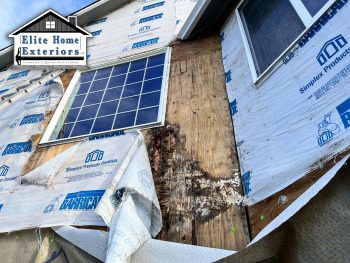 Dry Rot from window water leak
