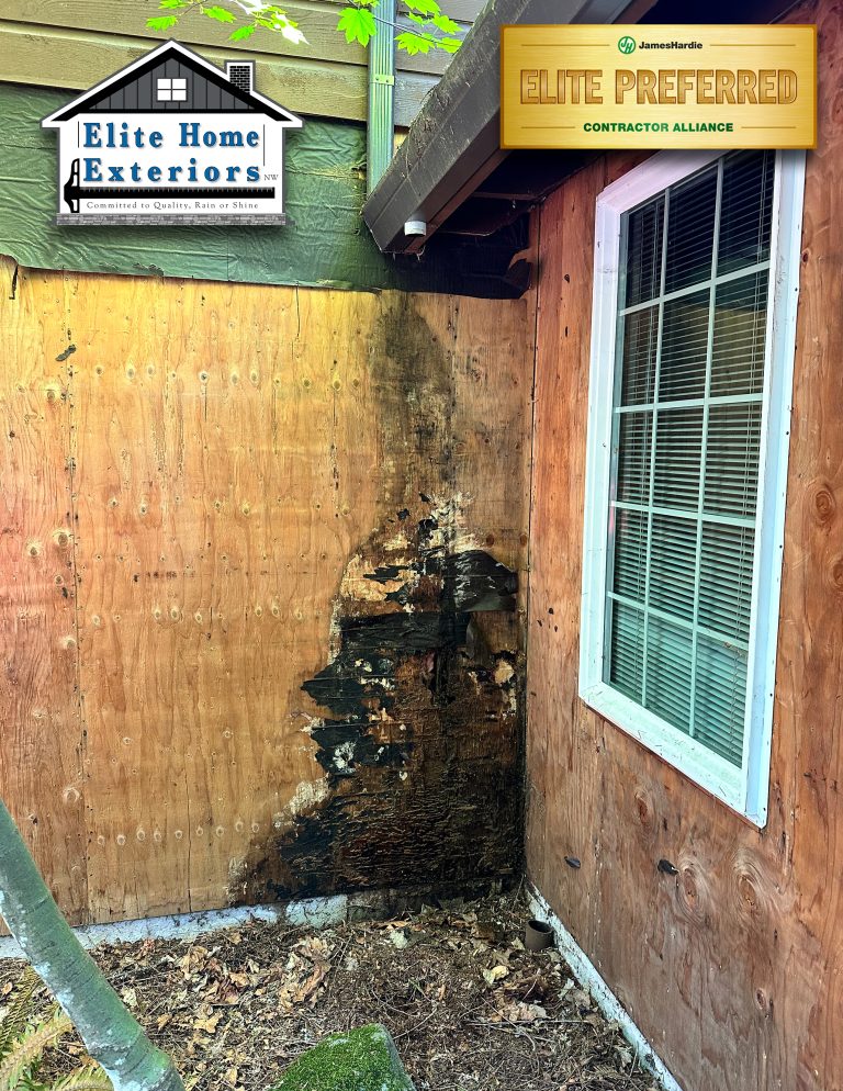 Rot Contractor