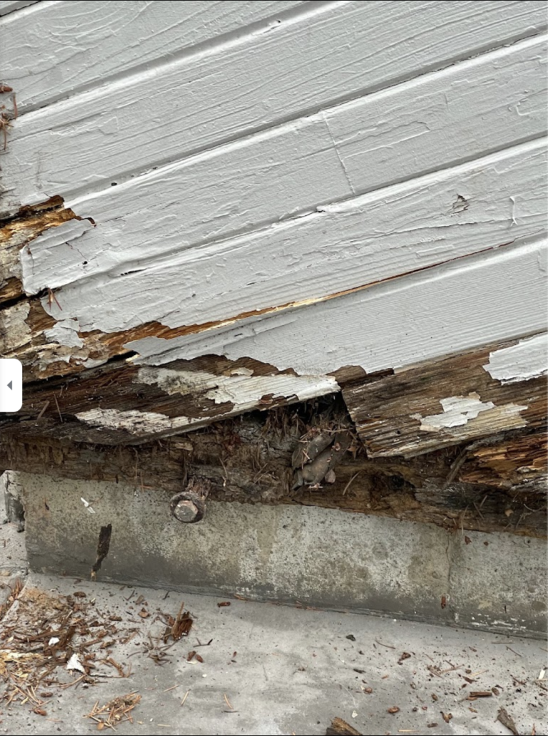 Cedar Siding Rot Replacement