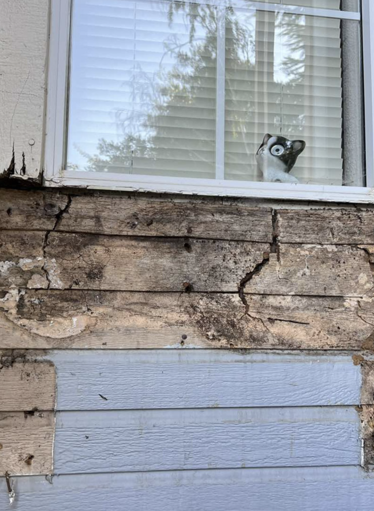T1 11 Siding Rot Contractors Camas Wa