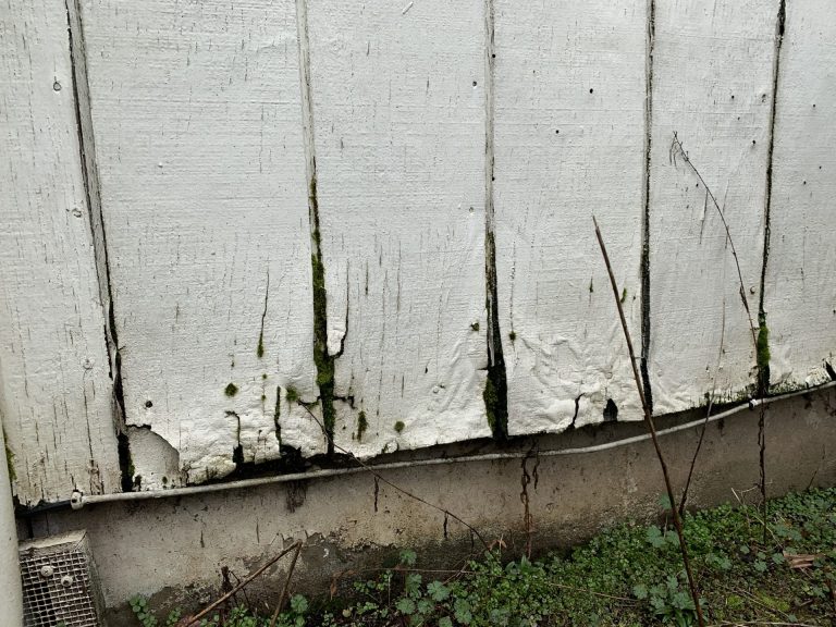 T1 11 Siding Rot Vancovuer Wa