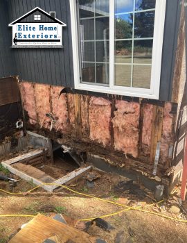 ant and termite damage to framing