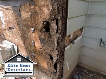 Image of Sub Wall Damage and Rot