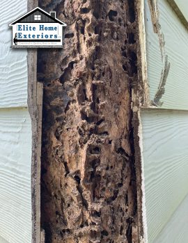 Termite and rot damage image of house exterior
