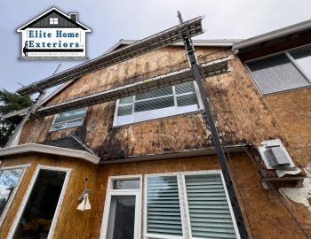 Image of House Exterior Rot and Mold in West Linn OR